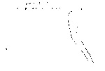 L_W13b0993 A10q0795-p01 K718 akh cv W13w0593